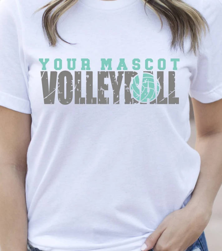 Volleyball Design 2602